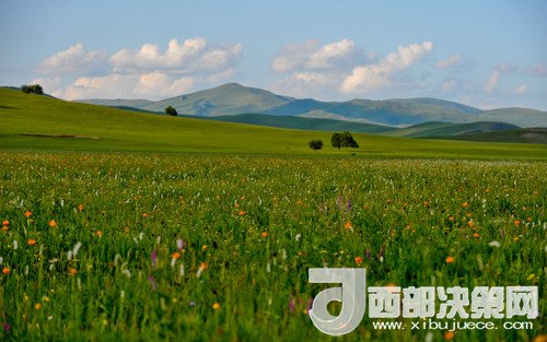 錫林郭勒草原。吳勇攝