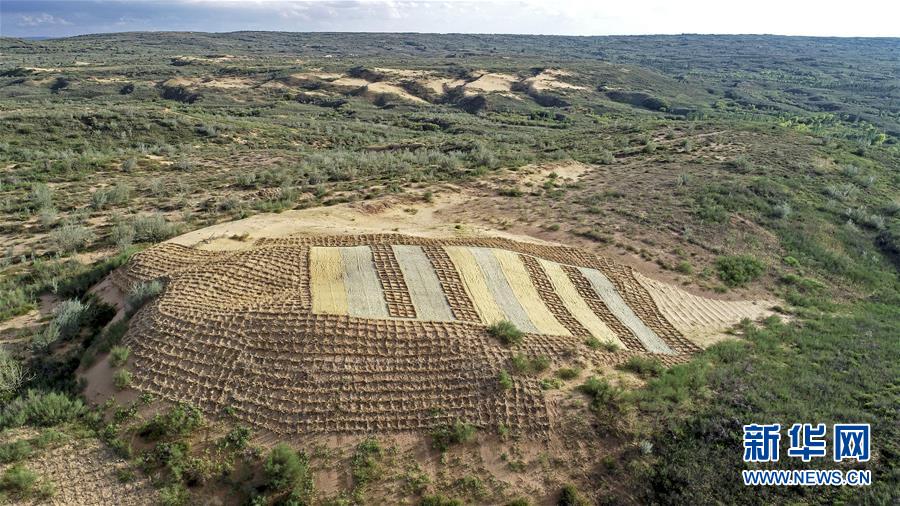 （壯麗70年·奮斗新時代——共和國發(fā)展成就巡禮·圖文互動）（6）生態(tài)美、百姓富——品讀嶄新“寧夏畫卷”