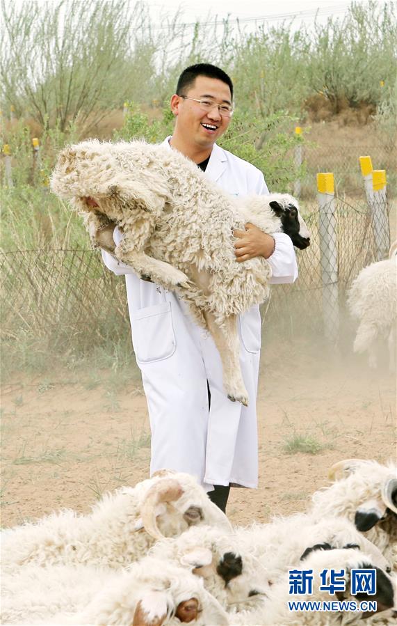 （壯麗70年·奮斗新時代——共和國發(fā)展成就巡禮·圖文互動）（3）生態(tài)美、百姓富——品讀嶄新“寧夏畫卷”