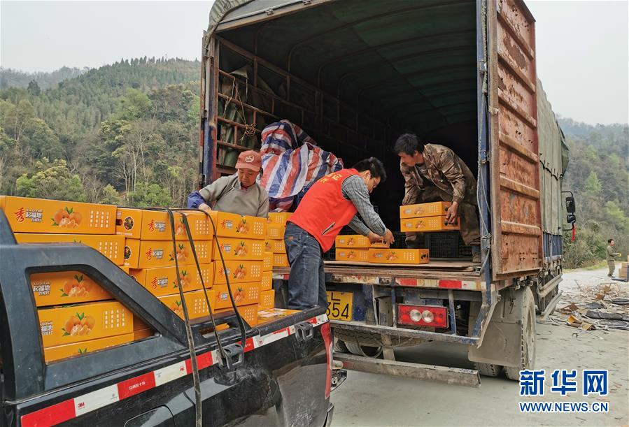 （決戰(zhàn)決勝脫貧攻堅·圖文互動）（6）另一種“逆行”——廣西5300余名駐村第一書記提前返崗投身“兩線作戰(zhàn)”