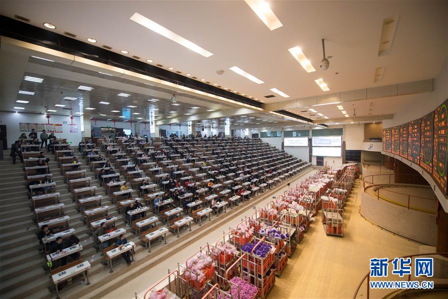 （新華全媒頭條·走向我們的小康生活·圖文互動）（9）綠染云嶺小康路——生態(tài)文明建設(shè)的云南實(shí)踐