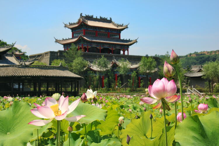 【云游渭南】心中若有桃花源，此處便是水云間！待疫情散盡，一起來(lái)渭南桃花源賞美景、觀民俗、享美食_fororder_2